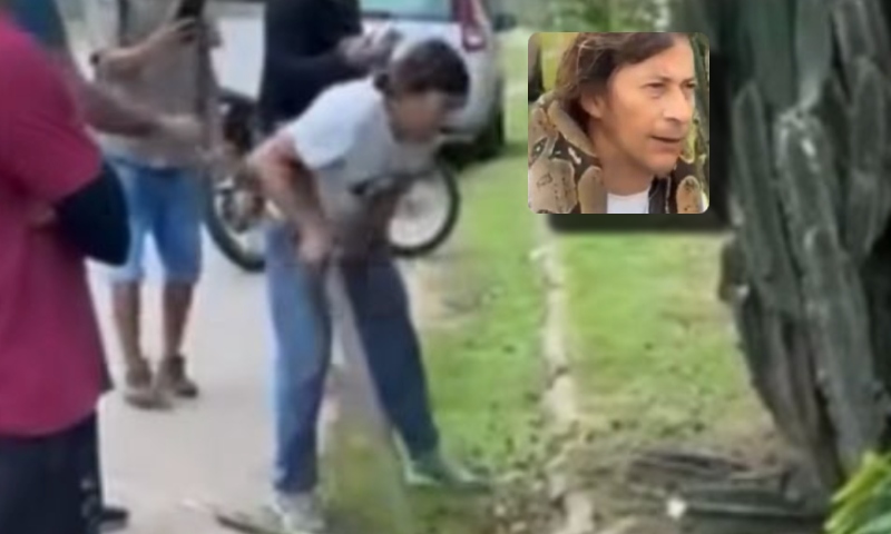 Corajoso: veja o que homem fez com cobra que encontrou em Manaus
