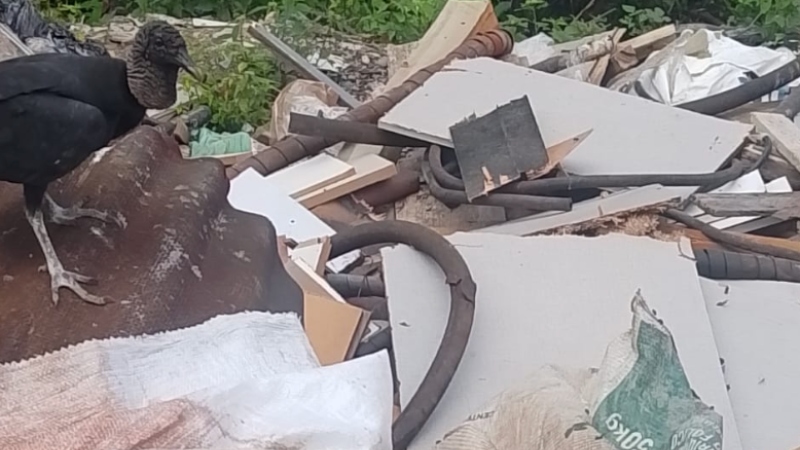 Urgente: corpo esquartejado é encontrado na zona Leste de Manaus; veja vídeo