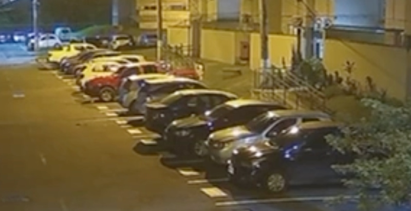 Jovens são atacadas por pit bull dentro do condomínio Conquista Torquato Tapajós; veja o vídeo