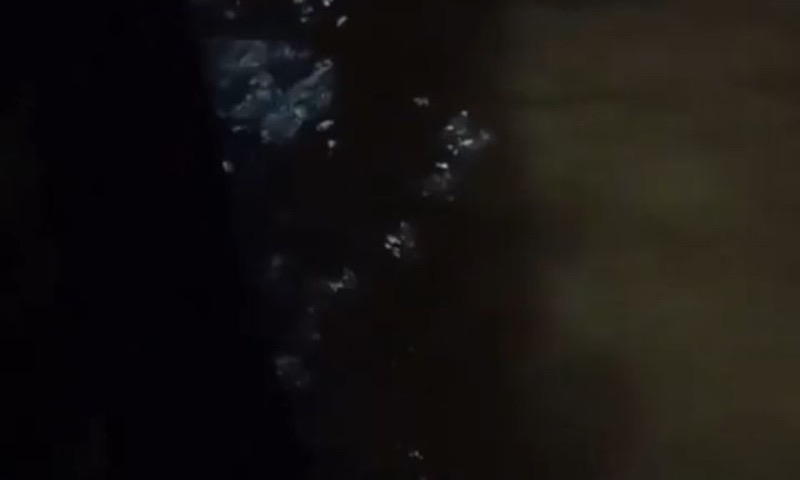 Desesperador: jovens são filmados se afogando no Rio Amazonas em Parintins; veja vídeo