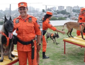 Conheça os cães heróis do Corpo de Bombeiros que completam 2 anos a serviço do resgate no Amazonas