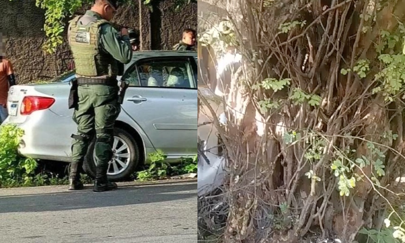 “Acidente fatal”: casal morre preso às ferragens após bater em árvore; veja vídeo