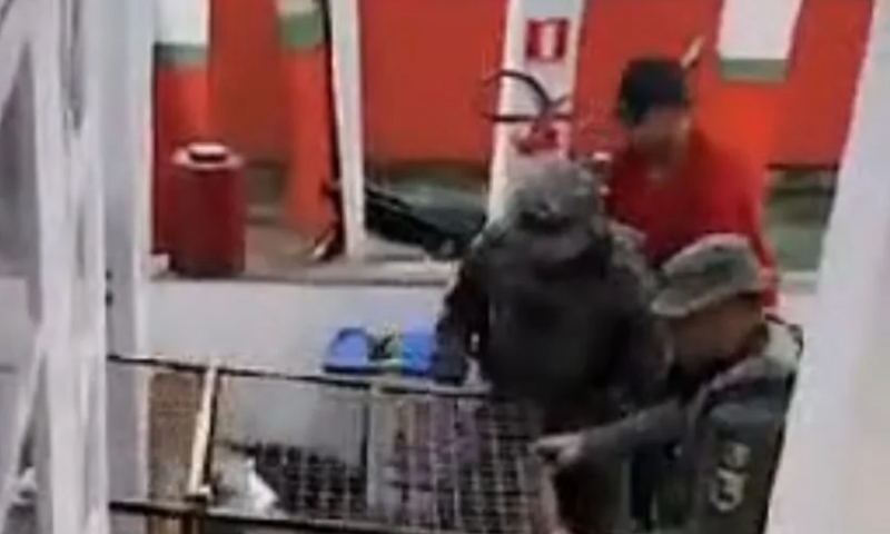 Onça-pintada invade batalhão dos bombeiros em Novo Airão e morre misteriosamente