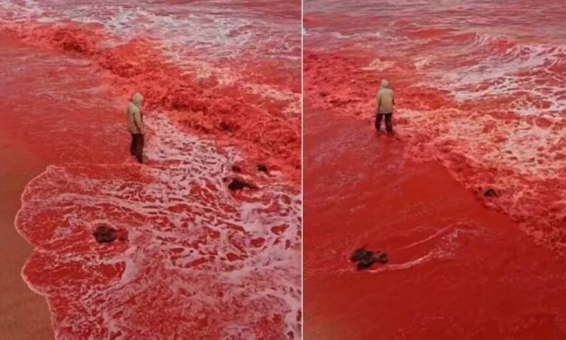 “Mar de sangue”: fenômeno impressionante pinta oceano de vermelho; veja vídeo