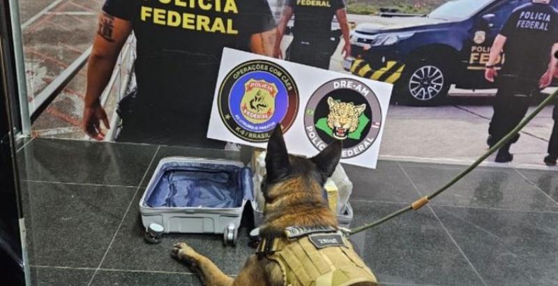 Mulher é flagrada tentando embarcar com mais de 10kg de maconha no Aeroporto de Manaus