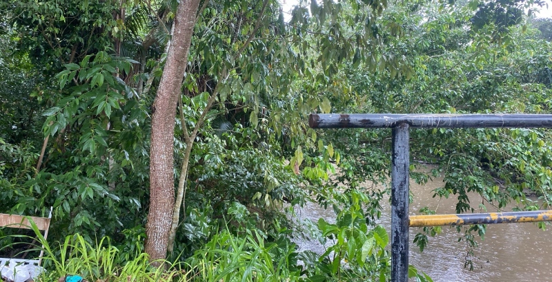 Urgente: corpo é encontrado em matagal na zona Norte de Manaus