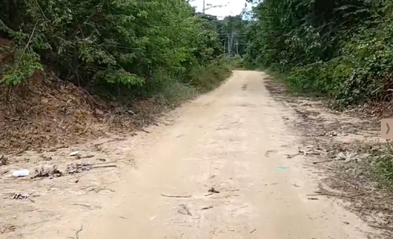 Urgente: moradores encontram corpo desovado em ramal da BR-174, em Manaus; veja vídeos