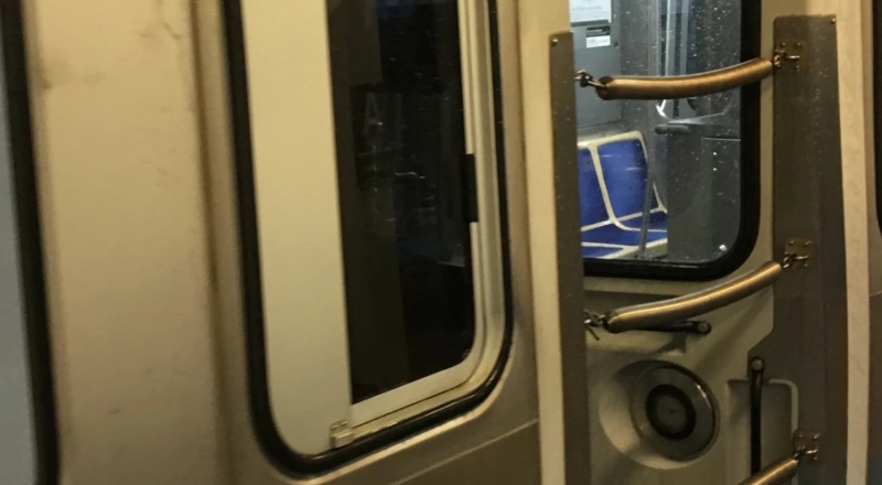 Mulher é assassinada durante discussão enquanto esperava trem; veja vídeo