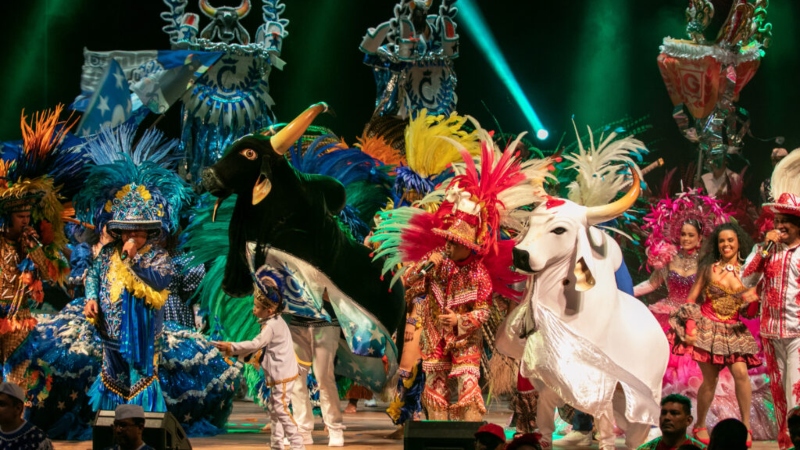 Festival de Parintins 2025: ensaios dos Bumbás começam neste sábado (29), em Manaus