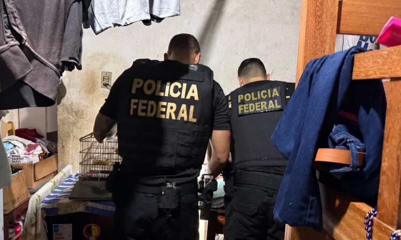 Operação Coletores 2: PF prende investigado por crime de abuso infantil em Manaus