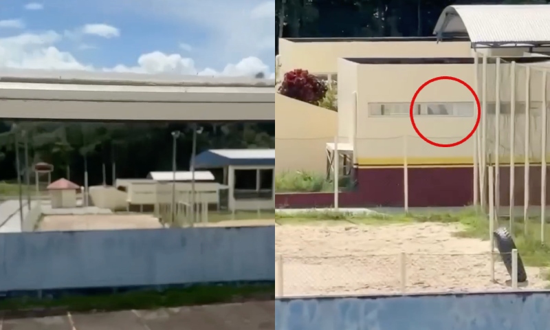 “No vuk vuk”: casal é flagrado gazetando aula em Presidente Figueiredo para ‘fazer n3ném’; veja vídeo