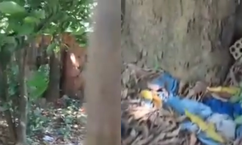 Filha entra em desespero ao encontrar mãe morta em quintal de casa; veja vídeo