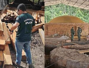 Ipaam e Batalhão Ambiental apreendem madeira ilegal em Manacapuru, fecham olaria e aplicam de mais R$ 290 mil em multas