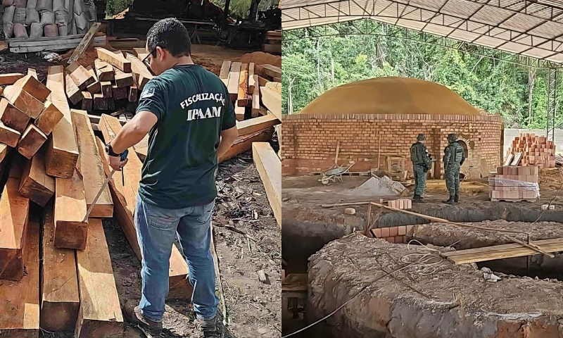Ipaam e Batalhão Ambiental apreendem madeira ilegal em Manacapuru, fecham olaria e aplicam de mais R$ 290 mil em multas