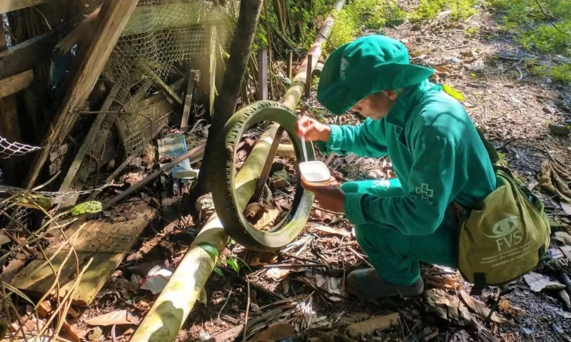 Primeira morte por dengue em 2025 no Amazonas é registrada no interior