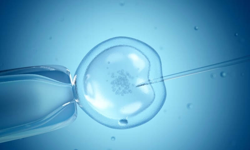 Mulher dá à luz bebê de outro casal após erro em fertilização