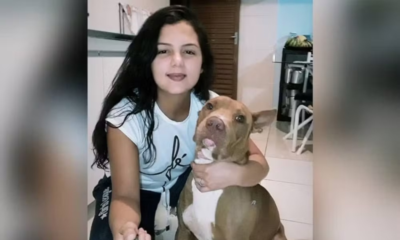 “Ele mordeu na jugular”: dona de pitbull morre ao ser atacada pelo próprio cachorro