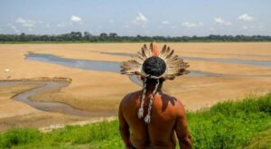 Artigo: Os direitos dos lavradores indígenas no Amazonas; Proteções Constitucionais e Legais