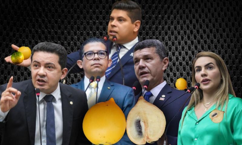 Direita na ALEAM “comendo abiú”: deputados seguem em silêncio e sem fiscalizar o Executivo há mais de 3 anos