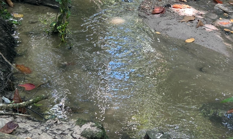 Urgente: corpo é encontrado boiando em igarapé no Adrianópolis; veja vídeo