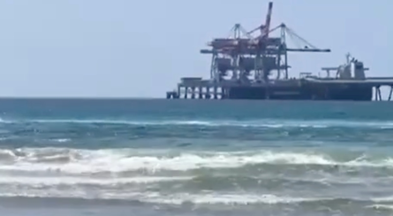 Mergulhador é atacado e devorado por tubarão: “Foi engolido vivo”; veja vídeo