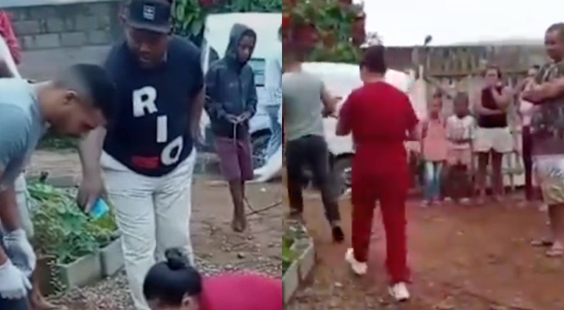 Adolescente dá à luz escondida e avó entrega bebê para ser devorado por cachorros; veja vídeo