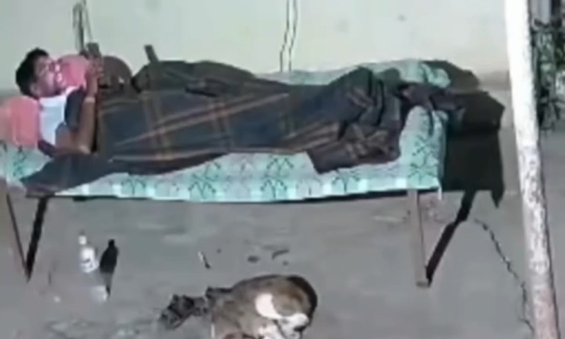 Vídeo mostra momento em que onça ataca cachorro enquanto dono está distraído no celular; veja