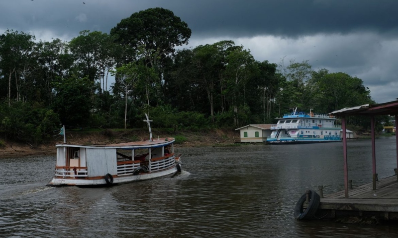 Menino de 7 anos desaparece no AM e pai acredita que ele foi levado durante ataque de jacaré