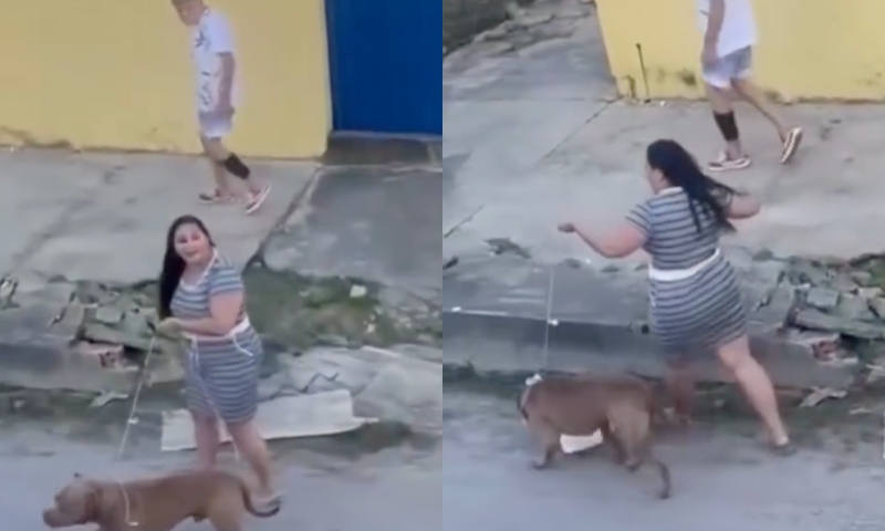 “Cadê a focinheira?”: dona de pitbull assiste cachorro matar gato no meio da rua, em Manaus; veja vídeo