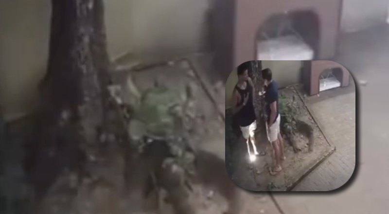 Vídeo flagra delegado atirando em jovem que “olhou” para sua namorada em festa; veja