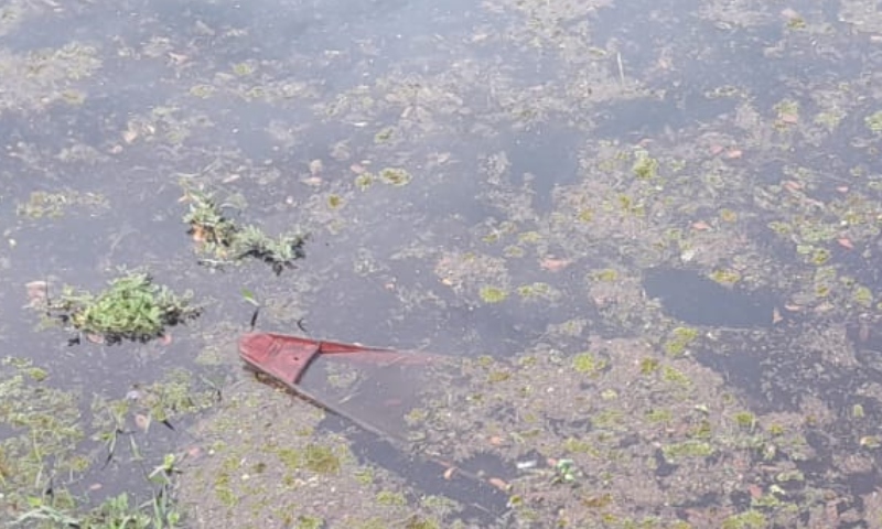 Corpo é encontrado boiando no rio do Miriti em Manacapuru; veja