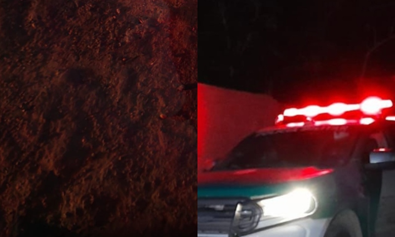 Jovem é sequestrado e morto a tiros em terreno baldio no Tarumã; veja
