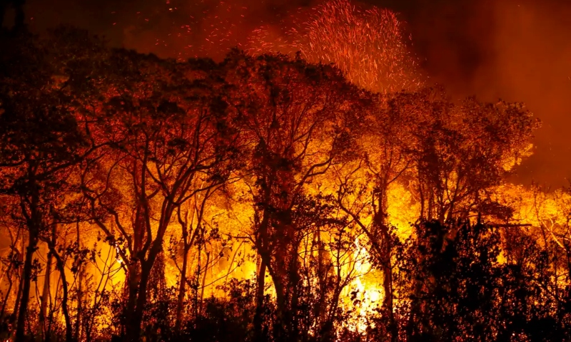Ibama multa 242 pessoas por incêndios criminosos em 2024