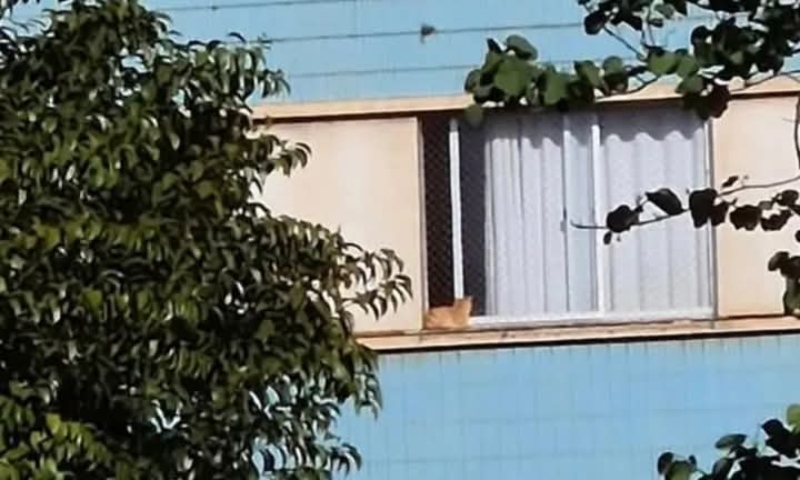 “Taradão” é preso após mostrar como satisfazia os próprios desejos na janela de apartamento; veja