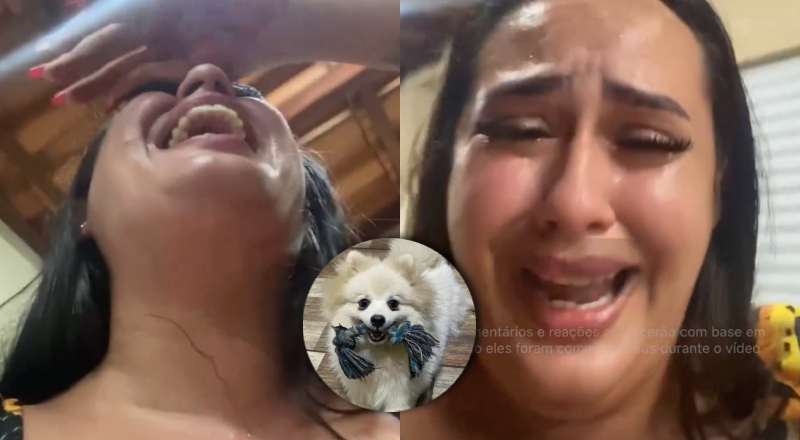 “Monstro!”: homem mata cachorro da ex a facadas por não aceitar o fim do casamento; veja vídeo