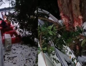 Passageiros ficam feridos após lancha bater em barranco no AM; veja vídeo