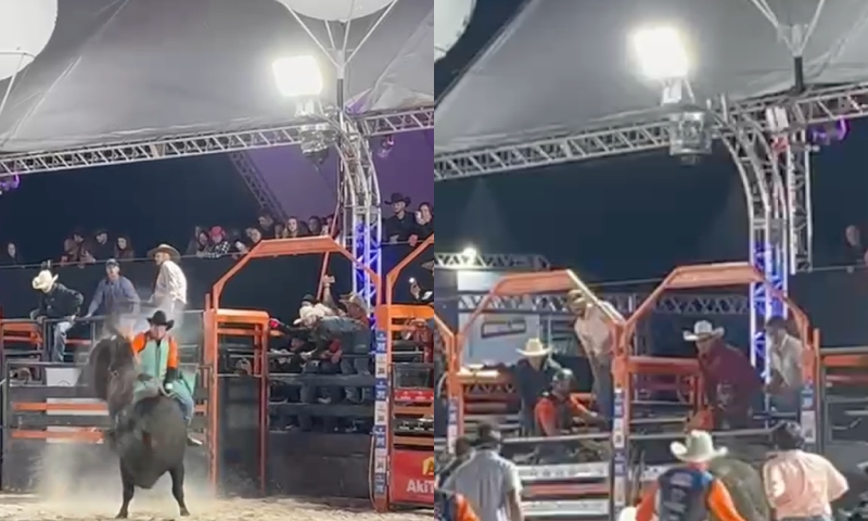 Vídeo desesperador mostra momento em que peão é pisoteado por touro durante rodeio; veja