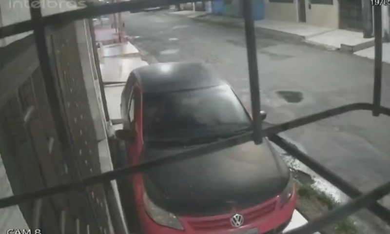 Pitbulls à solta invadem casa e matam cadela no meio da rua no bairro Cidade Nova; veja vídeo