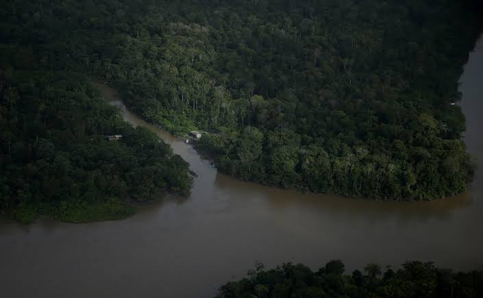 Ibama aprova plano da Petrobras sobre fauna na Foz do Amazonas