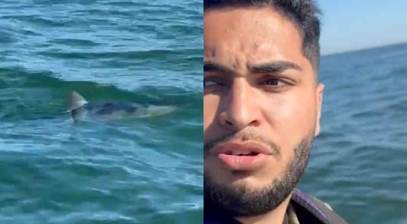 Alerta: segundo tubarão é visto na Barra da Tijuca em menos de três dias; veja vídeos