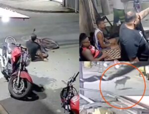 Cachorro solto na rua faz homem cair de bicicleta e morrer cortado com vidro no asfalto; veja vídeo