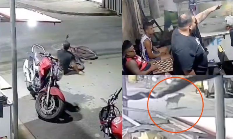 Cachorro solto na rua faz homem cair de bicicleta e morrer cortado com vidro no asfalto; veja vídeo