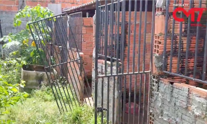 Mega operação resgata cinco cães da raça pitbull em canil clandestino na zona Norte de Manaus