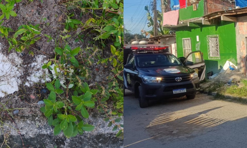 Urgente: jovem é executado a tiros no Monte Sião; veja vídeo