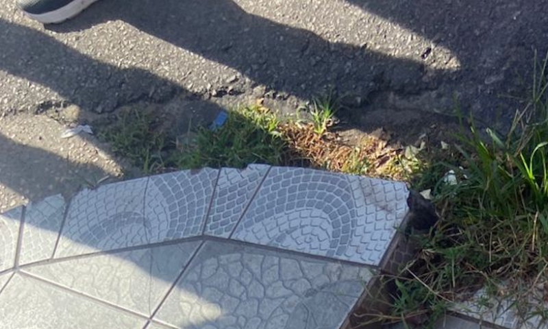 Urgente: jovem é assassinado com facada no coração no bairro Raiz; veja