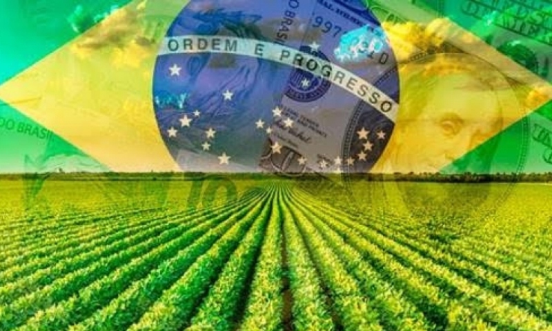 PIB do Brasil cresce 1,4% no 1º trimestre de 2025, diz IBGE