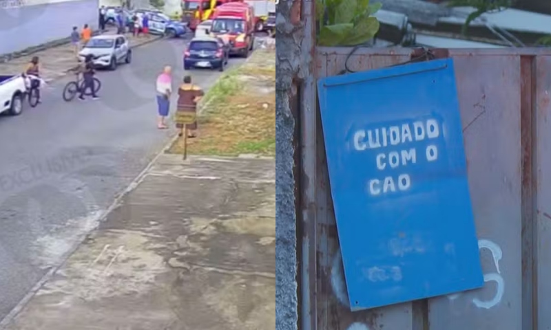 Vídeo mostra desespero de mãe ao ver o seu bebê de 10 meses sendo morto por pitbull da família; veja