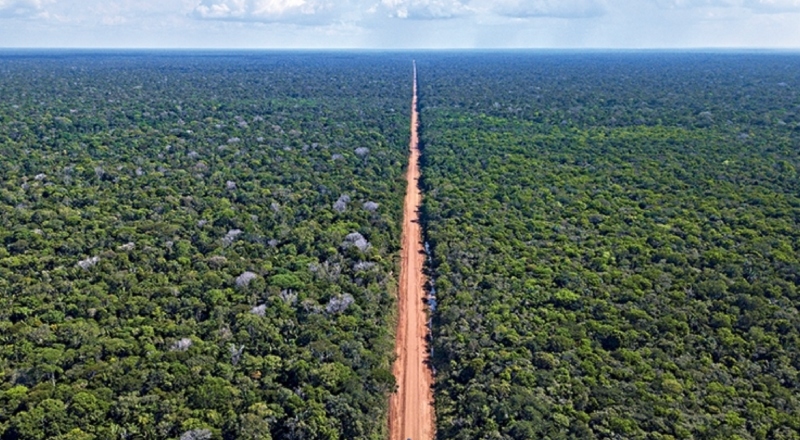 STJ marca audiência para discutir pavimentação da BR-319