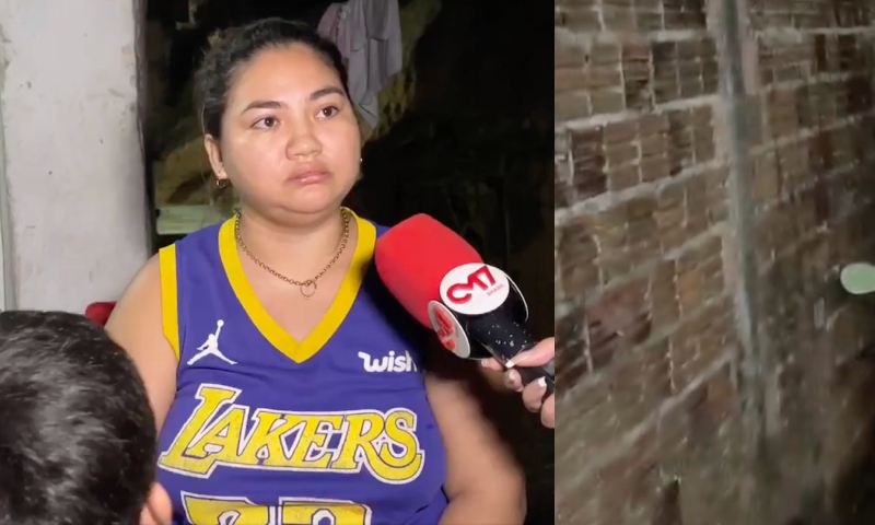 Mãe relata que pitbull morto a terçadadas em Manaus era agressivo: “ele ia matar o meu filho”; veja vídeo