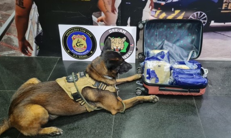 “Até o talo de maconha”: passageira é presa pela PF com skunk no Aeroporto de Manaus; veja vídeo